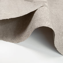 画像をギャラリービューアに読み込む, 強制紙 Ｋ-68 灰汁
