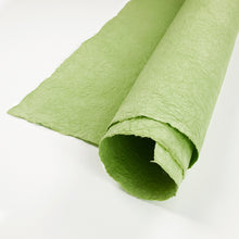 画像をギャラリービューアに読み込む, 強制紙 Ｋ-76 苗色
