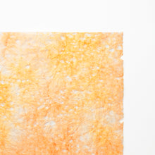 画像をギャラリービューアに読み込む, 麻落水 DG24-7
