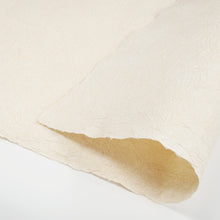 画像をギャラリービューアに読み込む, 強制紙 Ｋ-203 未晒
