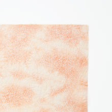 画像をギャラリービューアに読み込む, 春雨紙揉み染　Ｐ−5
