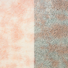 画像をギャラリービューアに読み込む, 春雨紙揉み染　Ｐ−5
