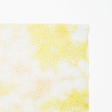 画像をギャラリービューアに読み込む, 春雨紙揉み染　Ｐ−6
