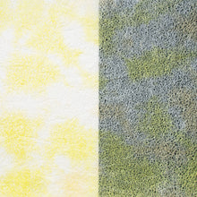 画像をギャラリービューアに読み込む, 春雨紙揉み染　Ｐ−6
