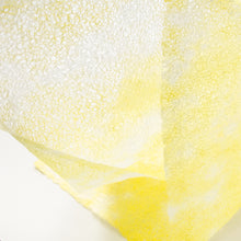 画像をギャラリービューアに読み込む, 春雨紙揉み染　Ｐ−7
