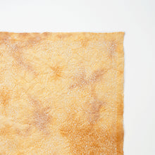 画像をギャラリービューアに読み込む, 春雨紙揉み染　Ｐ−8
