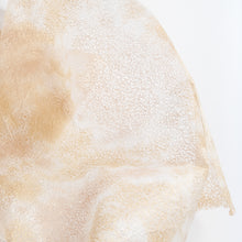 画像をギャラリービューアに読み込む, 春雨紙揉み染　Ｐ−10
