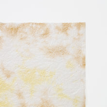 画像をギャラリービューアに読み込む, 春雨紙揉み染　Ｐ−13
