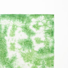 画像をギャラリービューアに読み込む, 春雨紙揉み染　Ｐ−16
