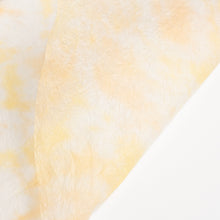 画像をギャラリービューアに読み込む, 典具揉み染 R-4
