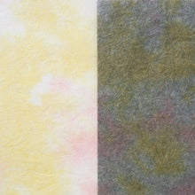 画像をギャラリービューアに読み込む, 典具揉み染 R-5
