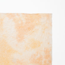 画像をギャラリービューアに読み込む, 典具揉み染 R-6
