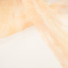 画像をギャラリービューアに読み込む, 典具揉み染 R-6
