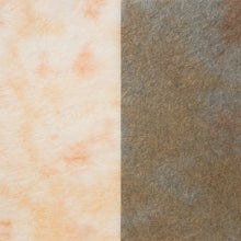 画像をギャラリービューアに読み込む, 典具揉み染 R-6
