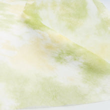 画像をギャラリービューアに読み込む, 典具揉み染 R-10
