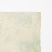 画像をギャラリービューアに読み込む, 典具揉み染 R-13
