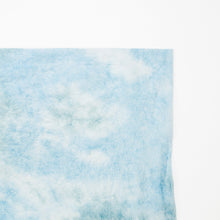 画像をギャラリービューアに読み込む, 典具揉み染 R-19
