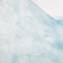 画像をギャラリービューアに読み込む, 典具揉み染 R-20
