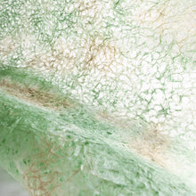 画像をギャラリービューアに読み込む, 麻落水 DG24-2
