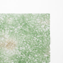 画像をギャラリービューアに読み込む, 麻落水 DG24-2
