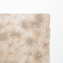 画像をギャラリービューアに読み込む, 麻落水 DG24-3
