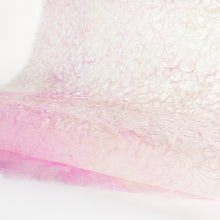 画像をギャラリービューアに読み込む, 麻落水 DG24-6
