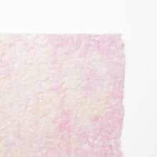 画像をギャラリービューアに読み込む, 麻落水 DG24-6
