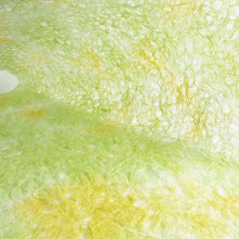 画像をギャラリービューアに読み込む, 麻落水 DG24-8
