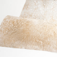 画像をギャラリービューアに読み込む, 麻落水 DG24-10
