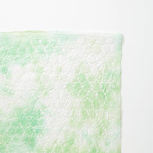 画像をギャラリービューアに読み込む, レースＰ 亀甲 若竹
