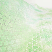 画像をギャラリービューアに読み込む, レースＰ 亀甲 若竹
