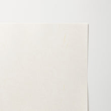 画像をギャラリービューアに読み込む, No.66 羽二重 アイボリー A4サイズ
