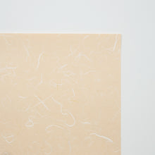 画像をギャラリービューアに読み込む, 特販コピー No.10
