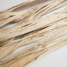 画像をギャラリービューアに読み込む, 中国産 白皮原料（煮熟前）1kg ＊ご注文後、約1週間で納品予定
