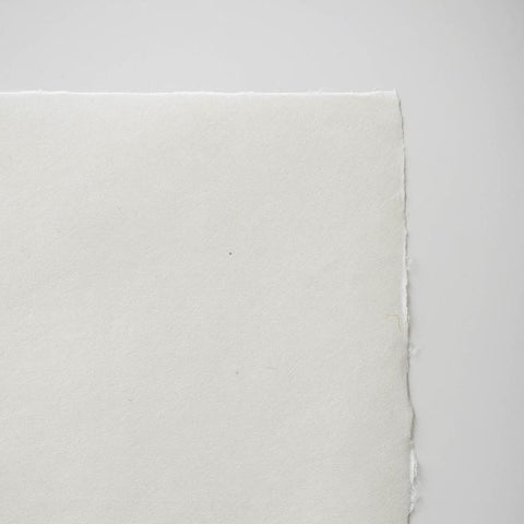 楮 未晒セレクト