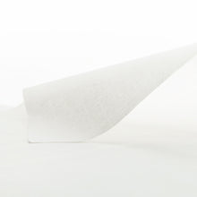 画像をギャラリービューアに読み込む, 山水専用紙（画仙紙）
