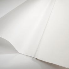 画像をギャラリービューアに読み込む, 古法貢宣（画仙紙）
