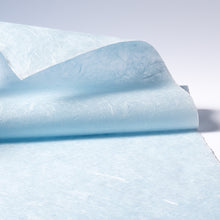 画像をギャラリービューアに読み込む, 雲流紙 U-20
