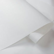 画像をギャラリービューアに読み込む, 昇竜 純白（コピーNo.50 白花）1091×788mm
