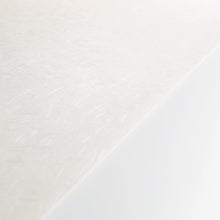 画像をギャラリービューアに読み込む, 春宵 白 1106×803mm
