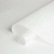 画像をギャラリービューアに読み込む, 雲流紙 中厚 No.5 ホワイト
