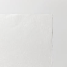 画像をギャラリービューアに読み込む, 雲流紙 厚口 No.6 ホワイト
