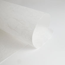 画像をギャラリービューアに読み込む, 雲流紙 厚口 No.6 ホワイト
