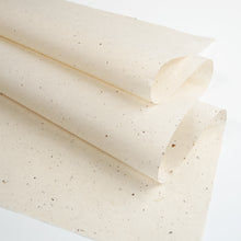 画像をギャラリービューアに読み込む, No.26 南風 未晒
