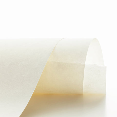 楮 厚口 未晒 12匁