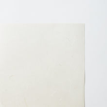 画像をギャラリービューアに読み込む, 壁紙 楮 AW6001(5001)
