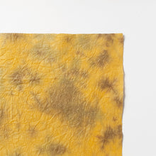 画像をギャラリービューアに読み込む, もみ染紙 B-39
