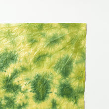 画像をギャラリービューアに読み込む, もみ染紙 B-41
