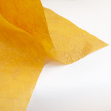 画像をギャラリービューアに読み込む, もみ染紙 B-48
