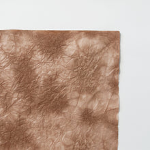 画像をギャラリービューアに読み込む, もみ染紙 B-82
